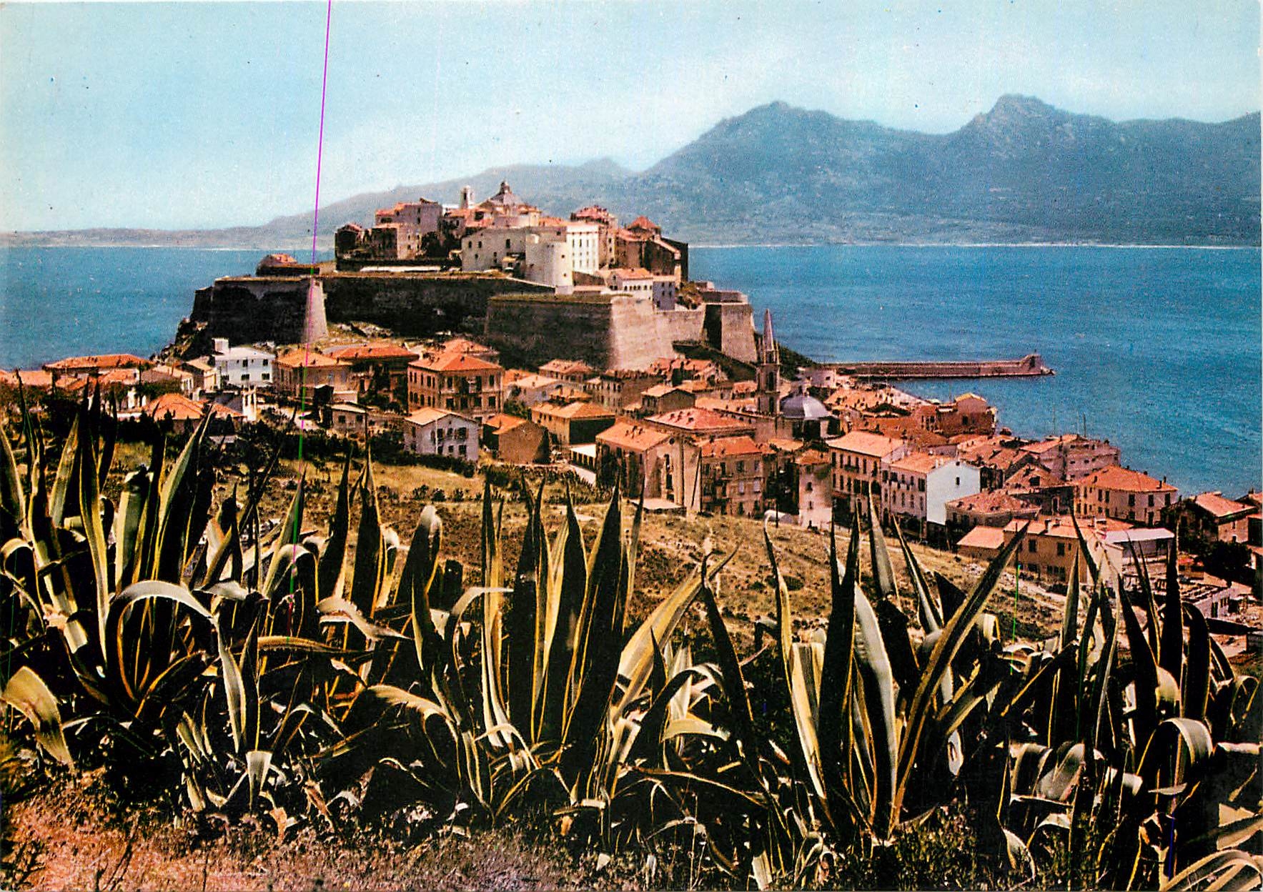 CPM La Corse inoubliable Calvi Vue generale la citadelle