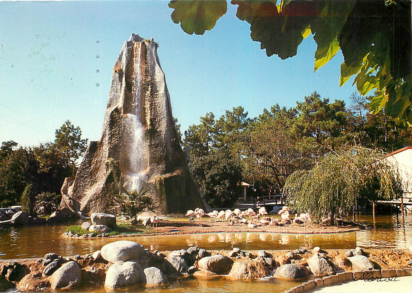 CPM Zoo de la Palmlyre Le rocher et les Flamants roses
