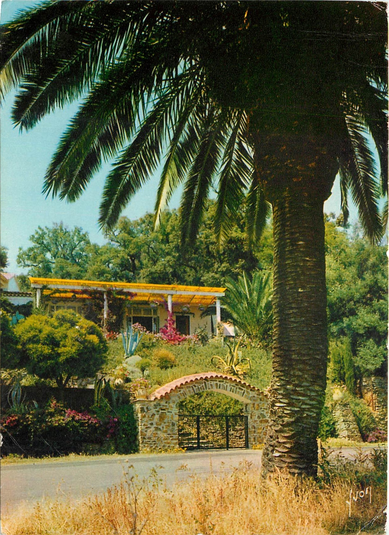 CPM Couleurs et Lumiere de France la Cote d'Azur miracle de la nature villa fleurie sur la cote