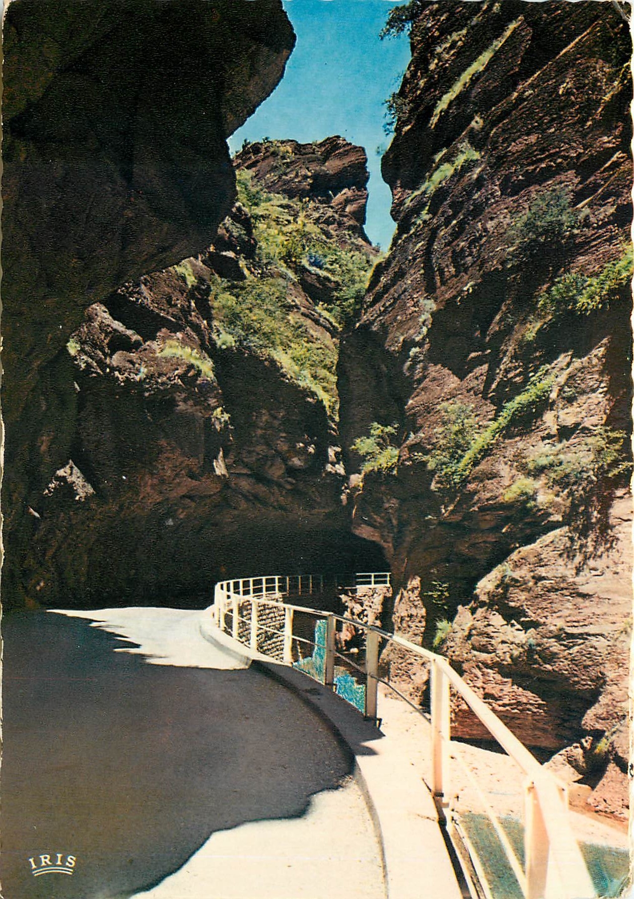 CPM Reflets de la Cote d'Azur Excursion des Gorges du Cians et de Daluis dans les Clues
