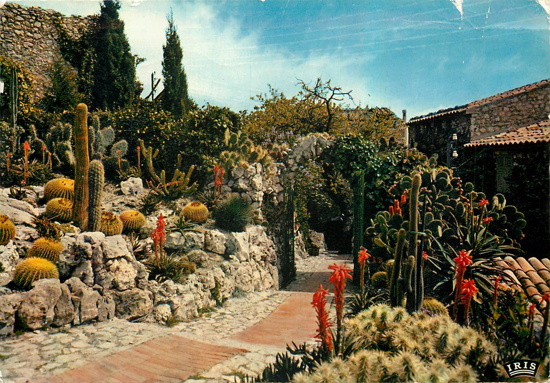 CPM La Cote d'Azur French Riviera Eze Village le jardin exotique