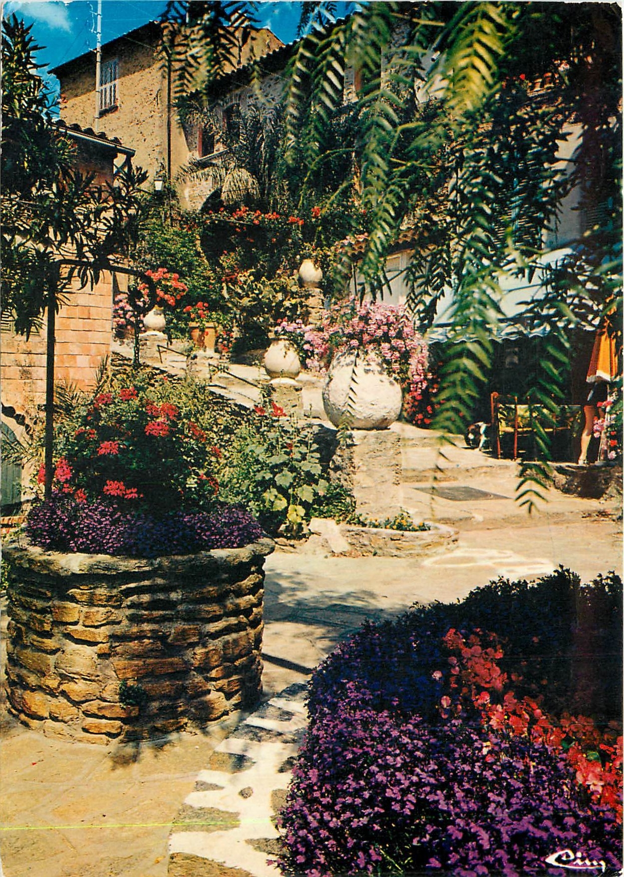 CPM Cote d'Azur Le Pouli Canto