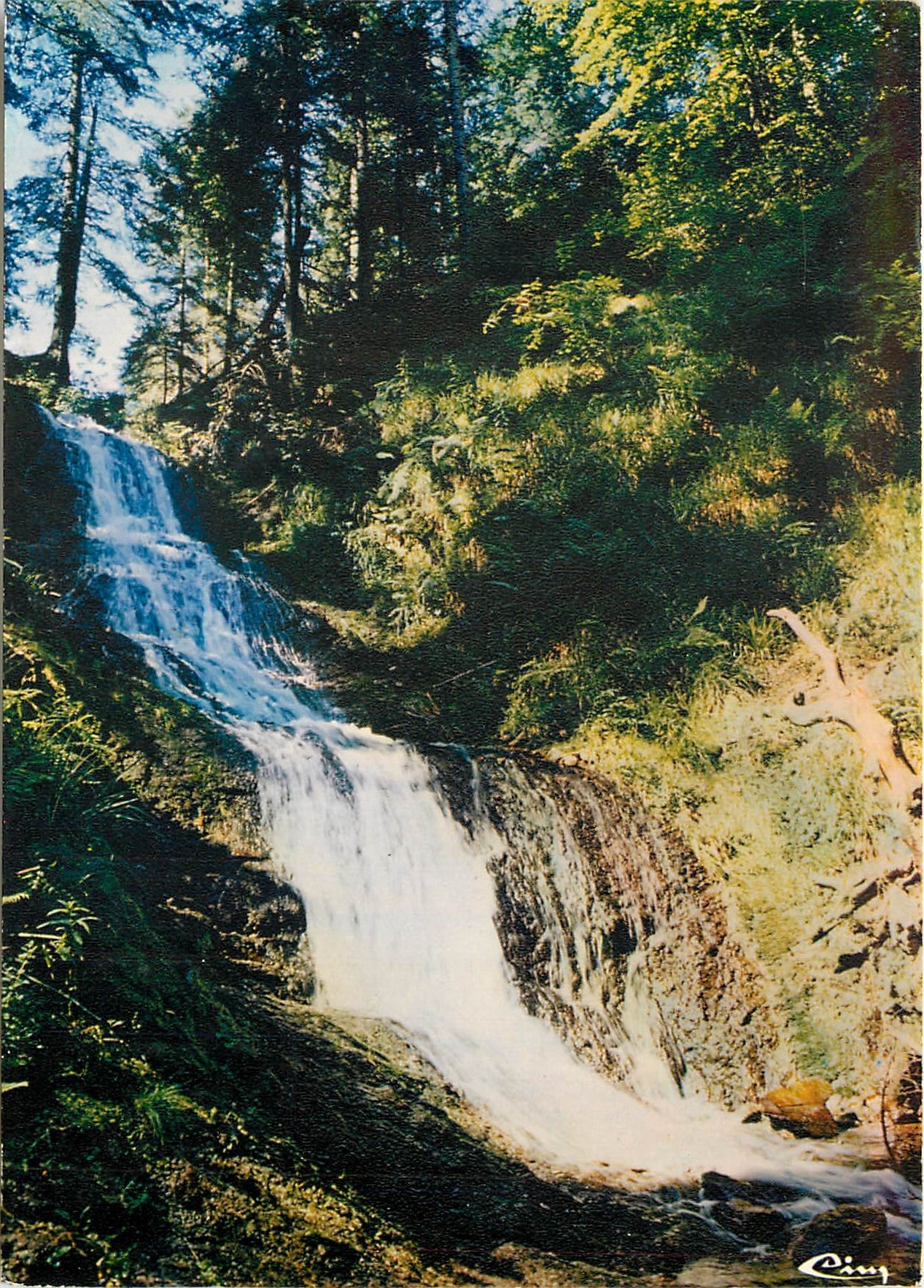 CPM Vosges Touristiques le Saut de la Bourrique