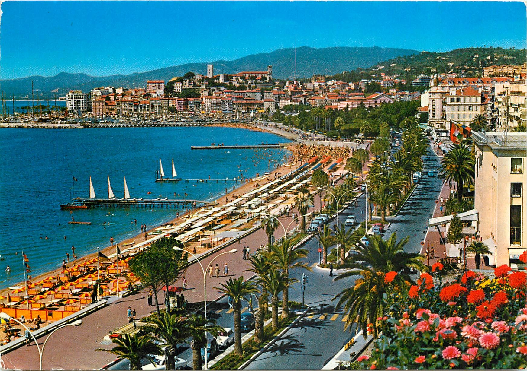 CPM La Cote d'Azur Cannes (A M) La Croisette et le Suraquet vus du Carlton