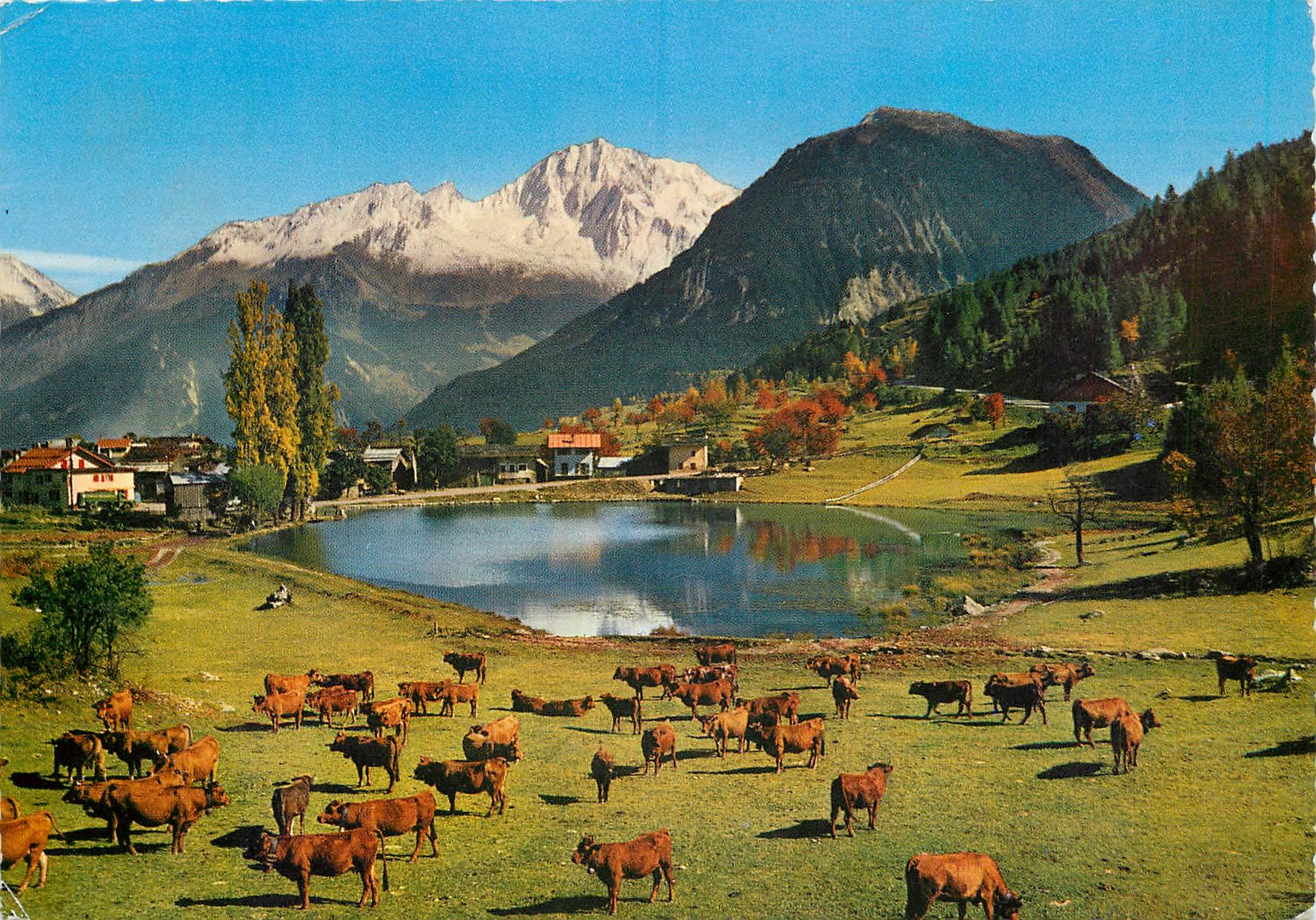 CPM Sur la route de Courchevel Paturage au bord du Lac du Praz de St Bon