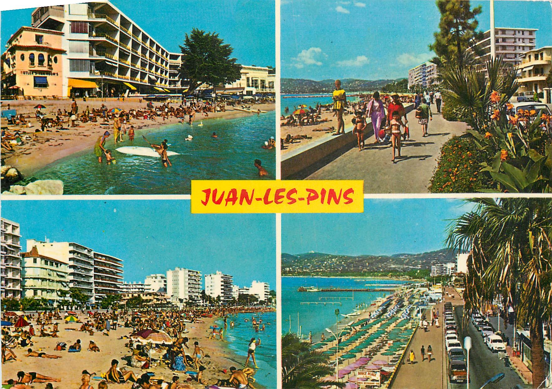 CPM Souvenir de Juan les Pins Ses Fleurs Son Cap Ses Musees