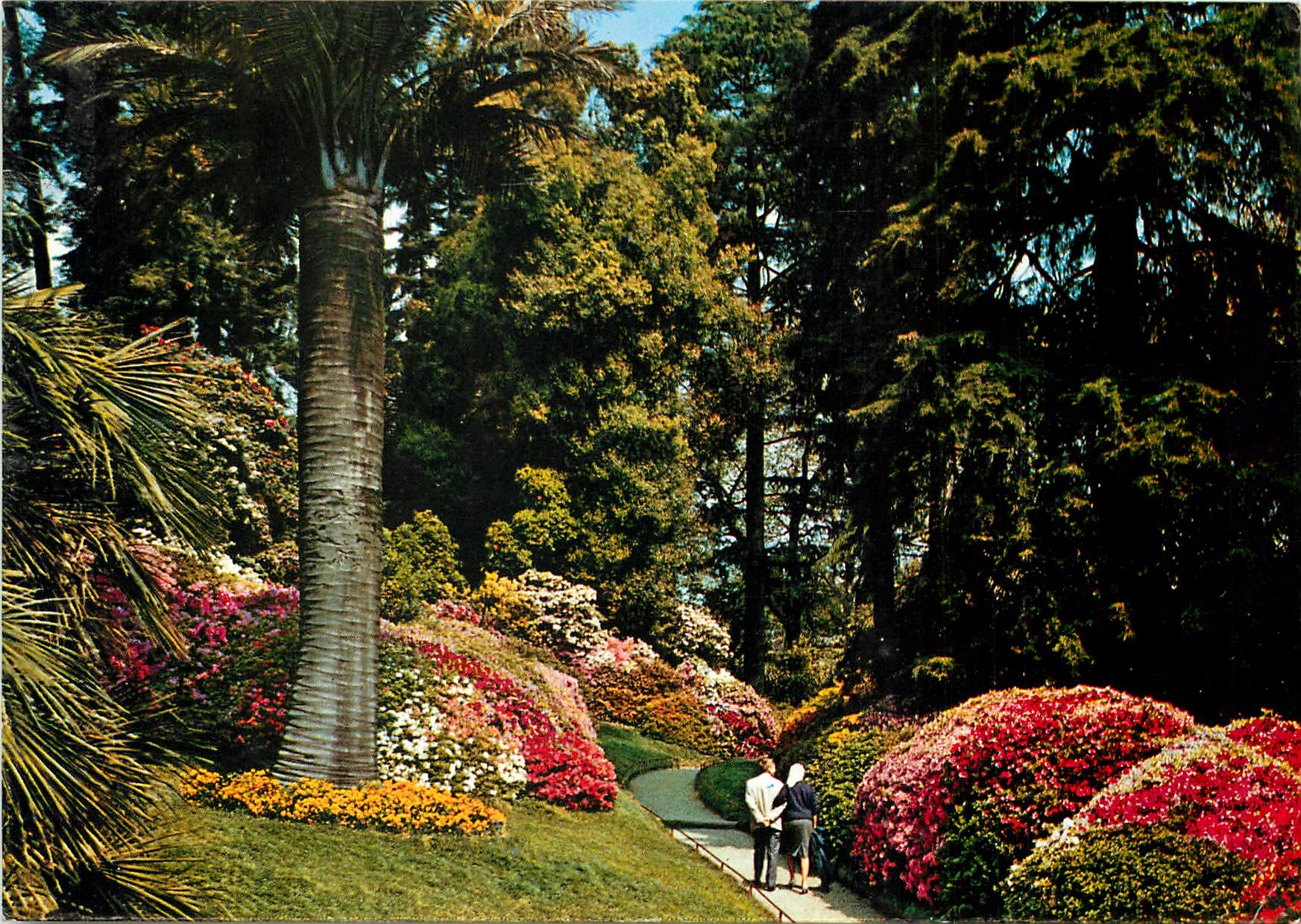 CPM Lac de Come Villa Cariotta le Parc