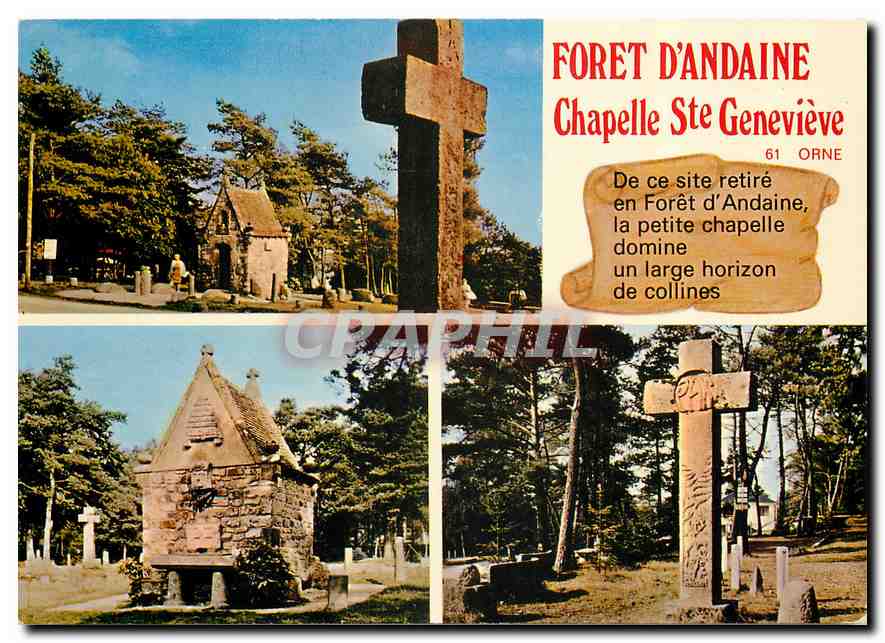CPM Foret d'Andaine (Orne) La Chapelle Ste Genevieve