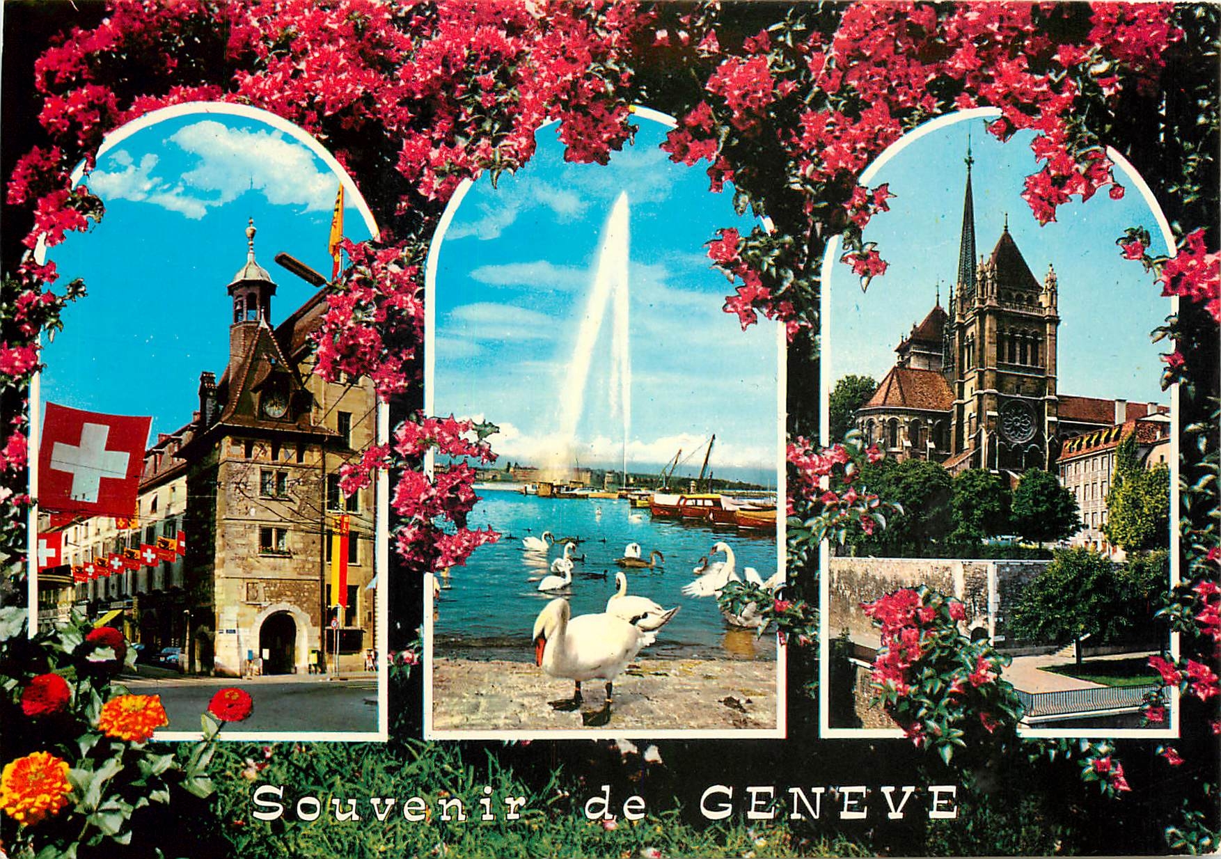 CPM Place dµ Molard le jet d'eau (130 m) et les cygnes Cathedrale St Piere