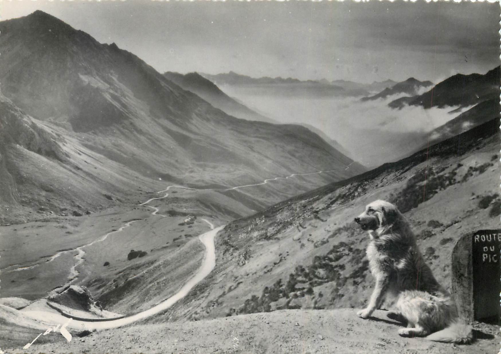 Chien au col du Tourmalet — Route du Pic — Édit. JOVE, Pau