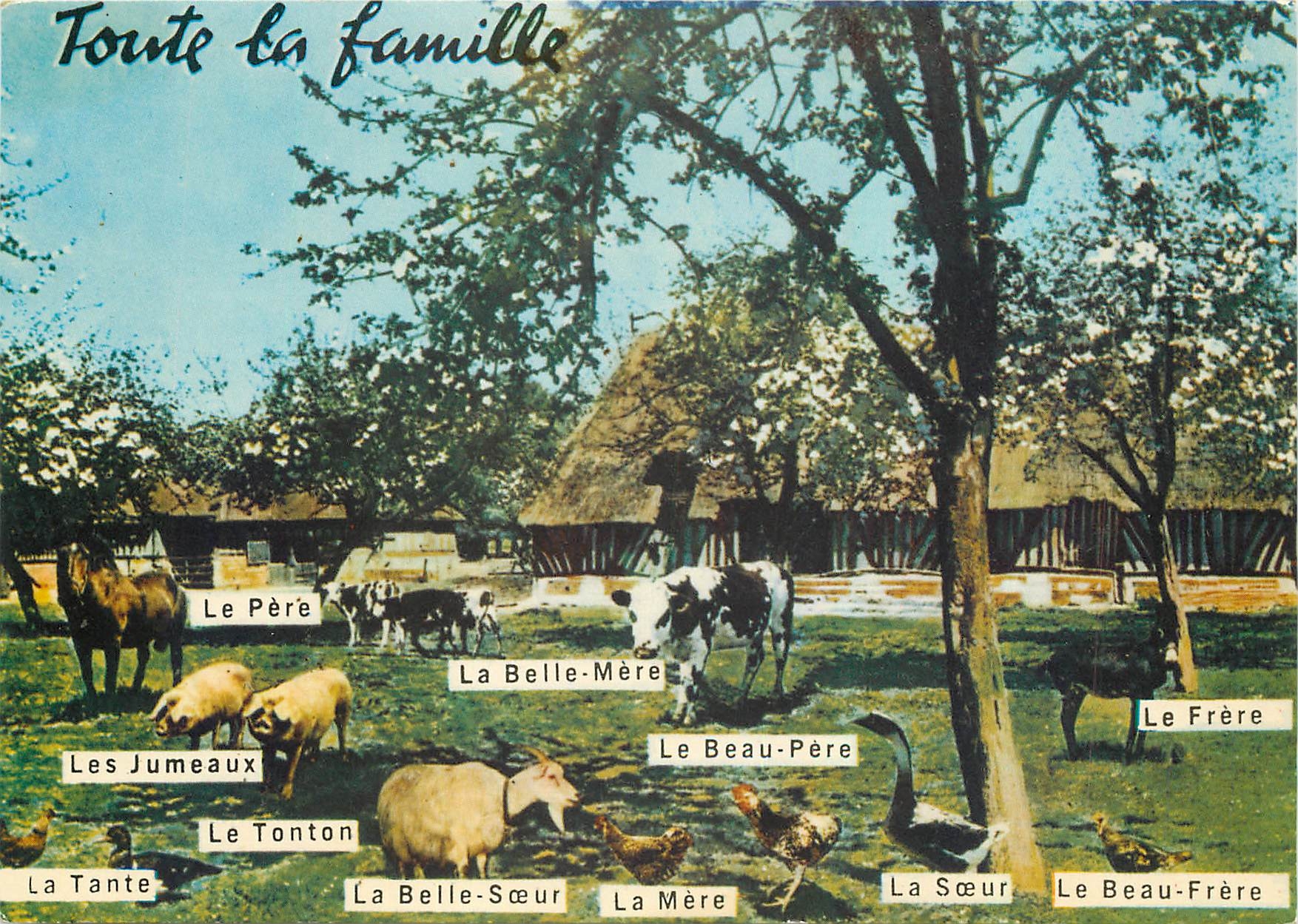 CPM Toute la famille Le pere Cheval Cochon Porc Coq Vache Ane Mule 