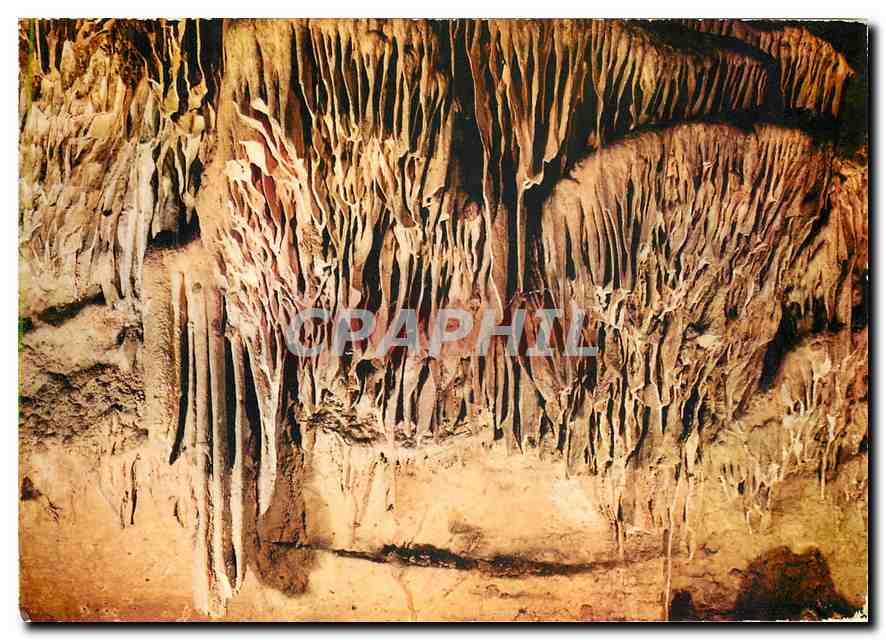 CPM Les Grottes d'Arcy sur Cure (Yinne) Les Draperies