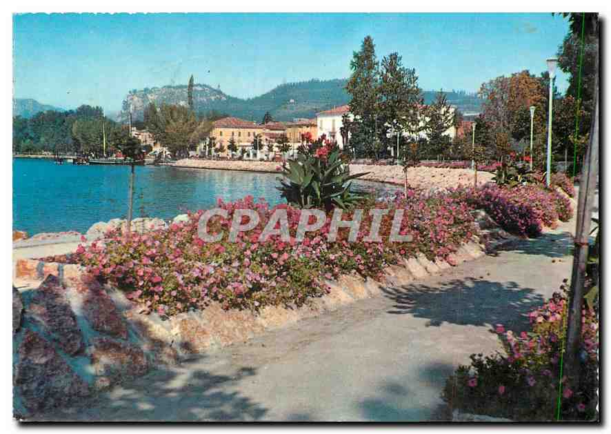 CPM Lac de Garda Bardolino Route du Rivage