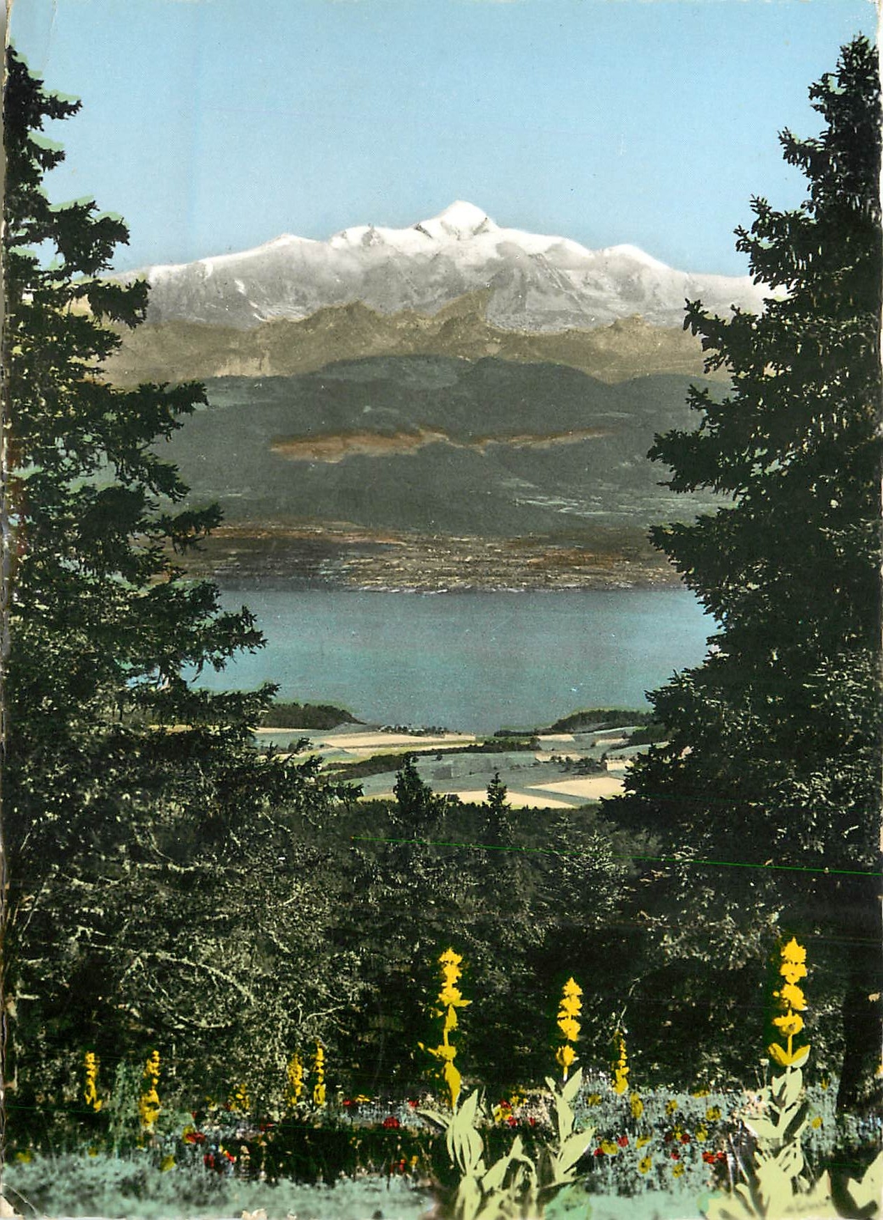 CPM La Franche Comte Pittoresque Le Lac Leman et le Mont Blanc vus du col de la Faucille