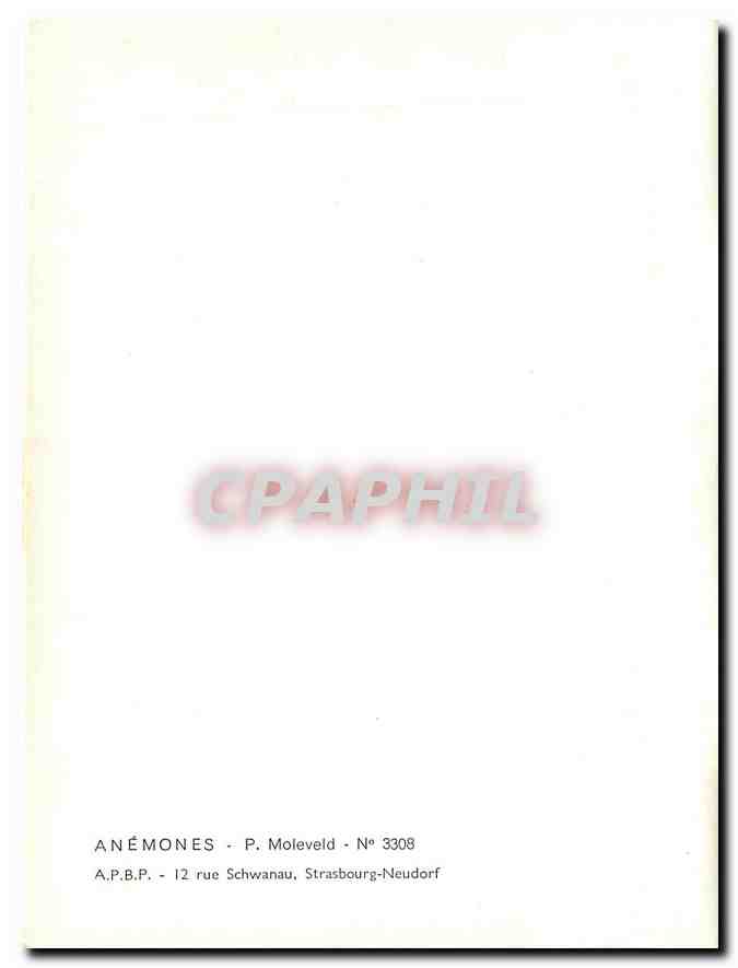 CPM Anemones PMoleveld — Rückseite