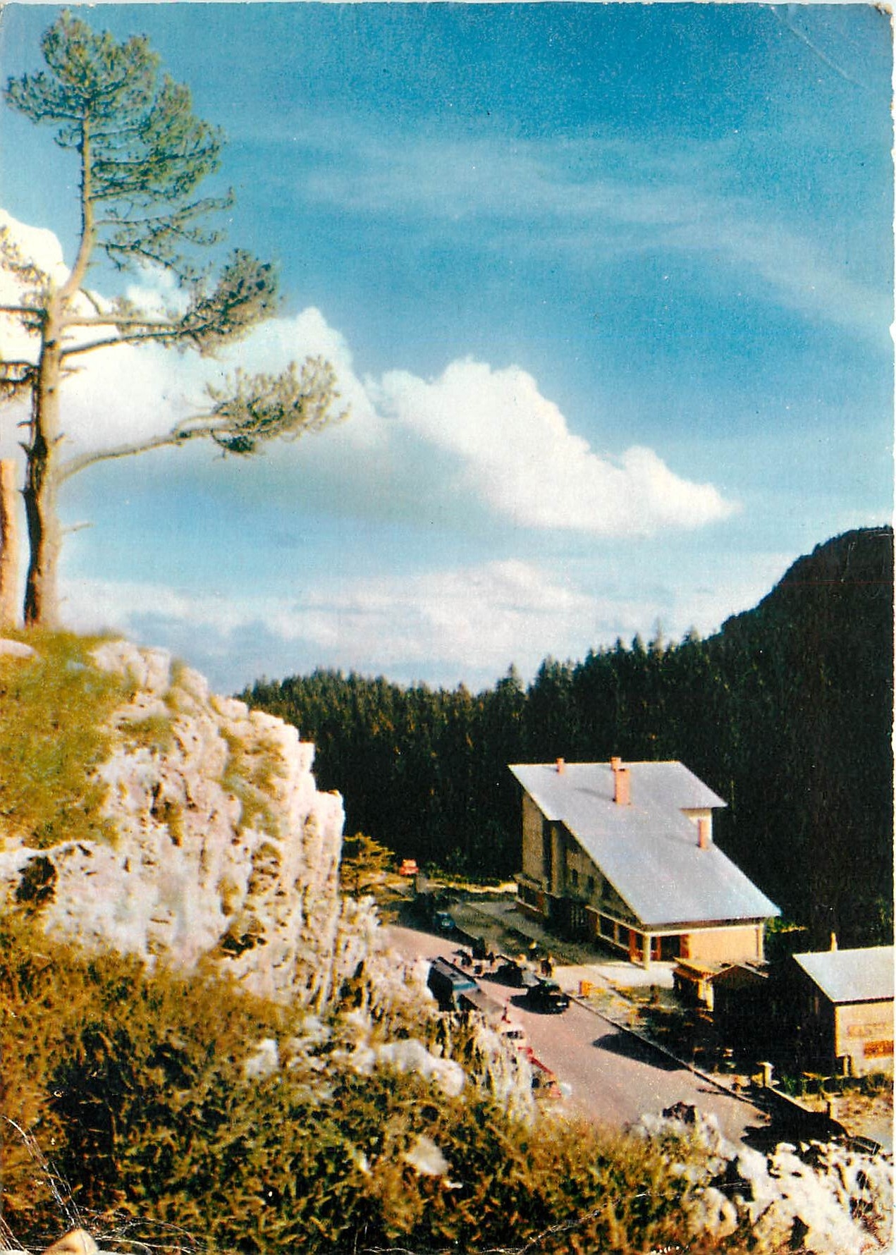 CPM La Franche Comte Pittoresque le col de la Faucille (alt 1323 m)