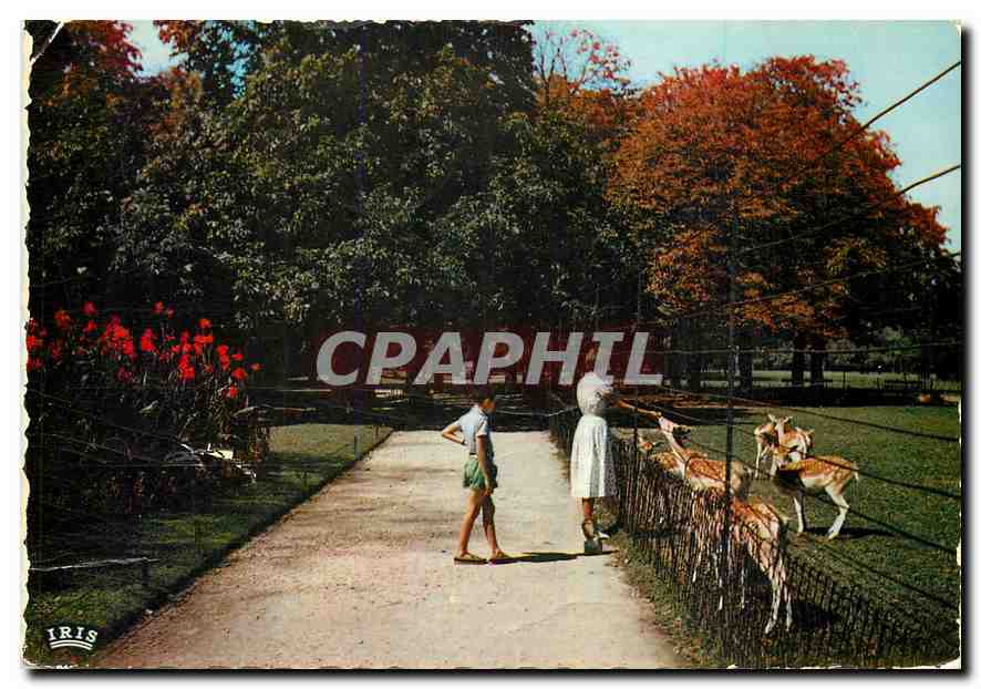 CPM Lyon Parc de la tete d'or