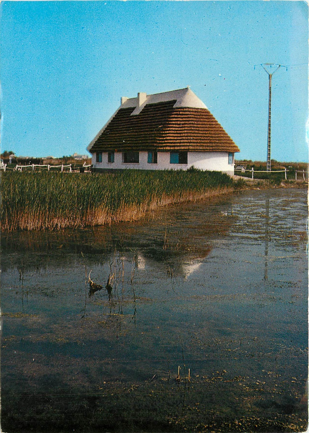 CPM La Belles Images de Camargue Cabane de Gardian et sa Roubine