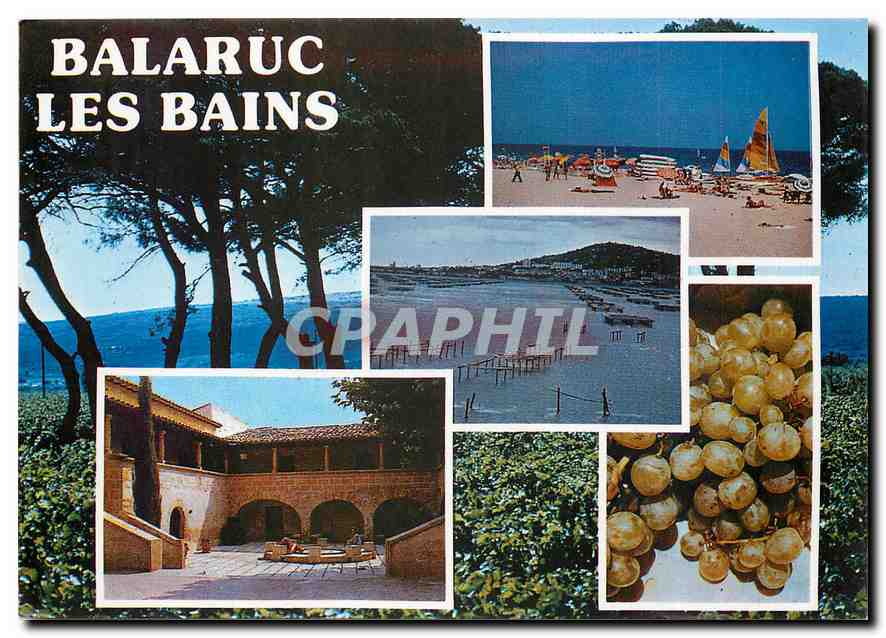 CPM Lumiere et couleurs de l'Herault Balaruc les Bains