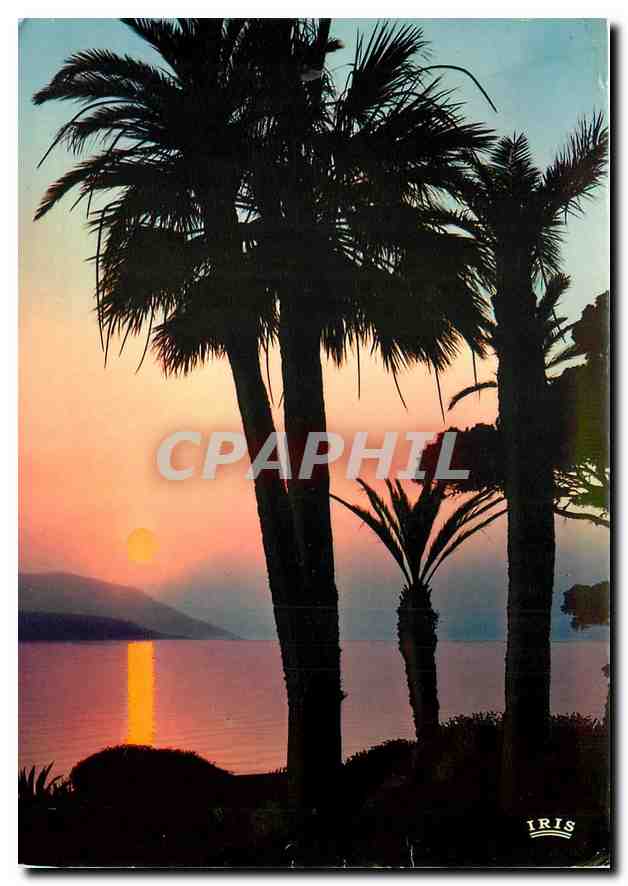 CPM Reflets de la cote d'Azur coucher de Soleil