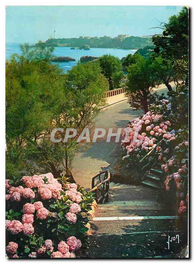 CPM Couleurs et Lumiere de France Pays Basque Biarritz (Basses Pyrenees) Promenade sur le promontoir