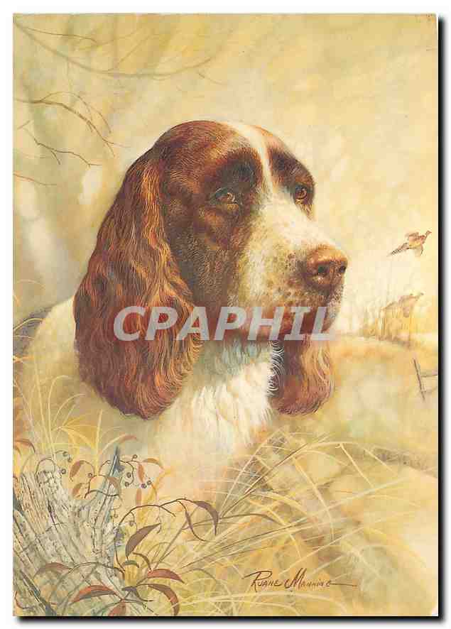 CPM  Chien