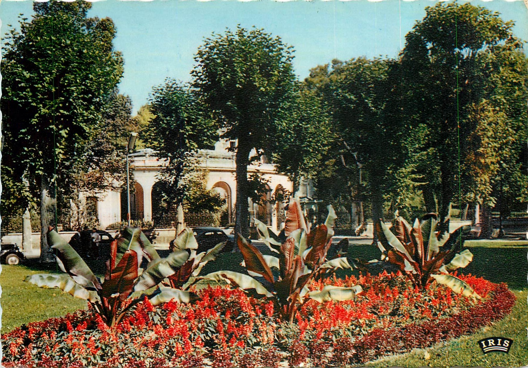 CPM Vichy (Allier) Reine des Villes d'Eaux Source des Celestins vue du Grand Parc