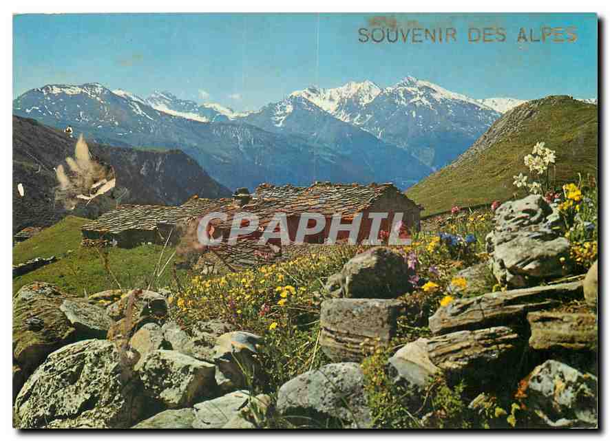 CPM Vieux Chalets en haute Montagne