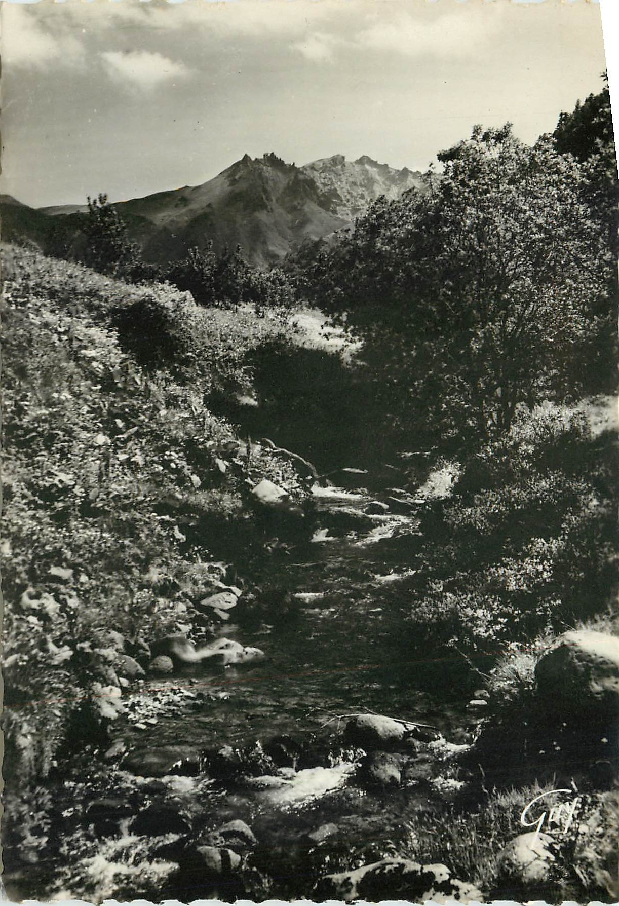 CPM Mont Dore les Bains (P de D) La Dordogne au Pied du Sancy (1886 m)