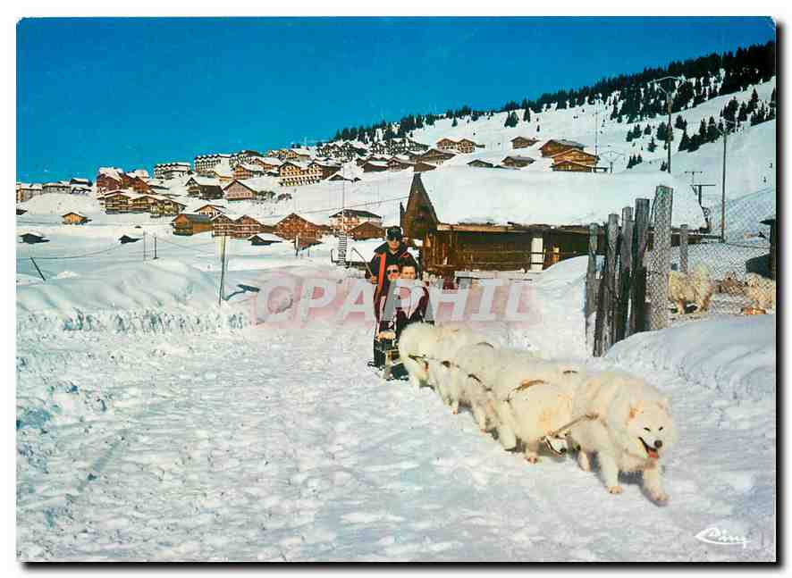 CPM Col des Saisies (Savoie) Alt 1650 m vue generale Chiens