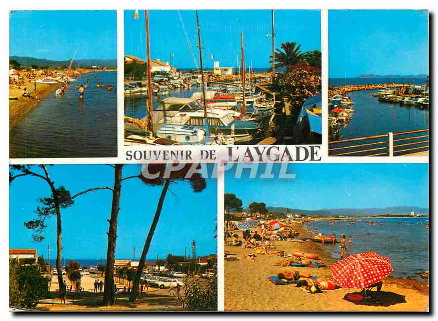 CPM Lumiere et Beaute de la Cote d'Azur Souvenir de L'Aygade