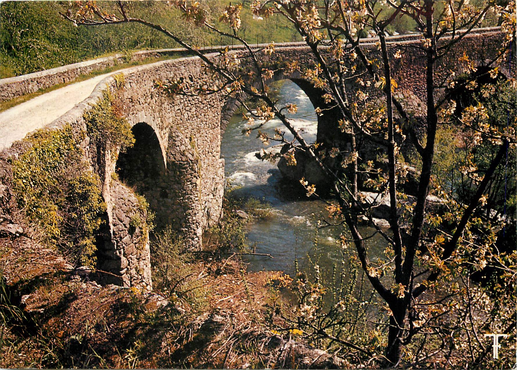 CPM Cevennes Haute Vallee de l'Herault le charme du Printemps
