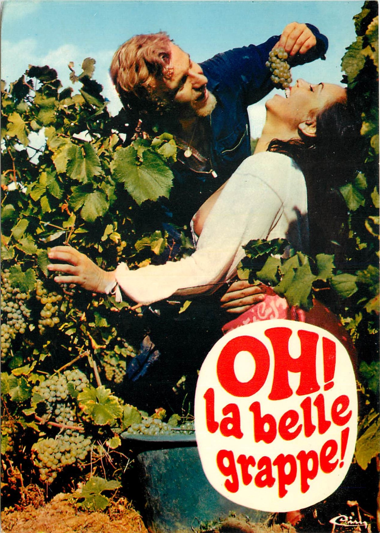 CPM Vins et Gastronomie a l'ombre des Caps