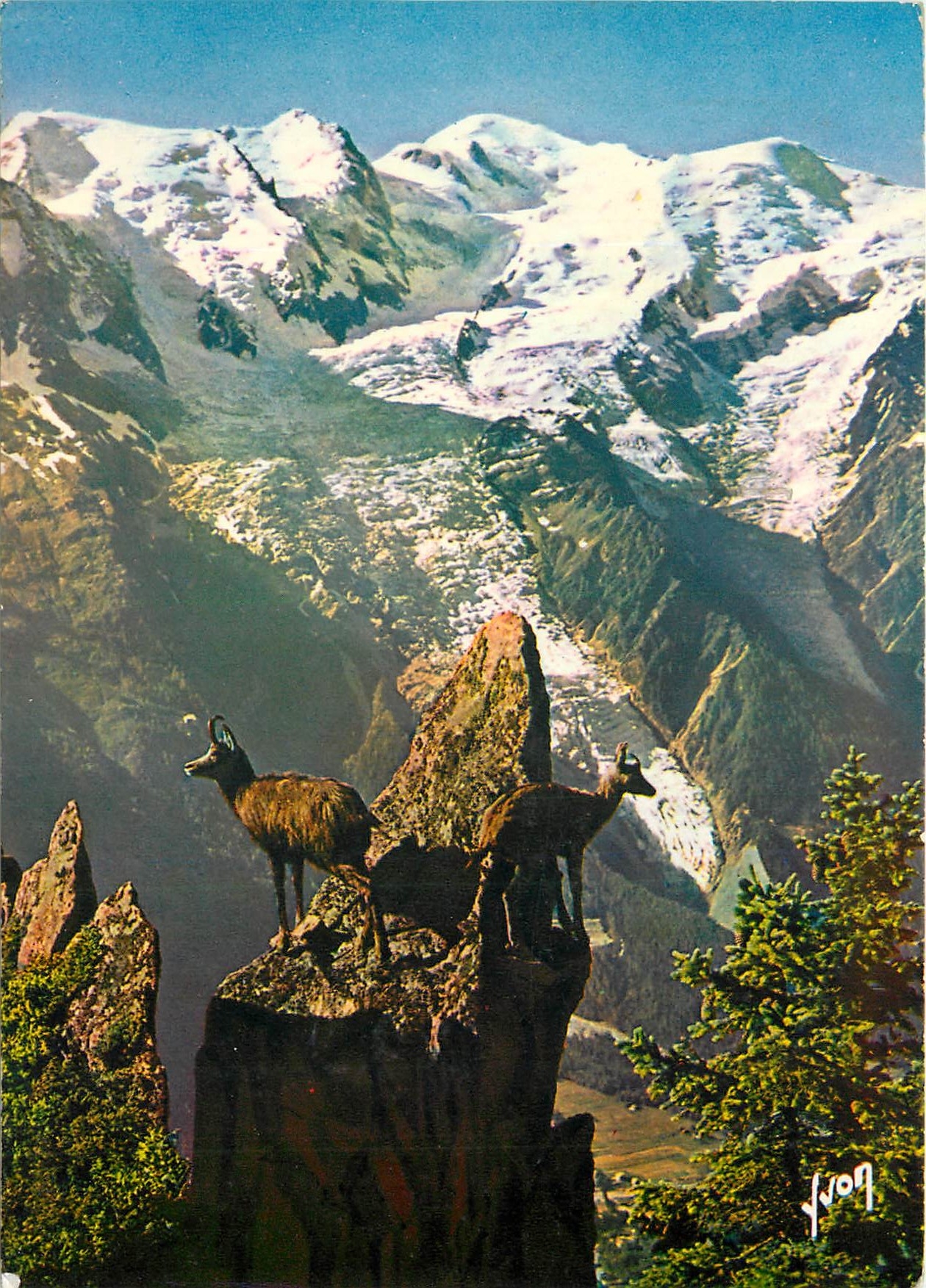 CPM Chamois aux Aguets