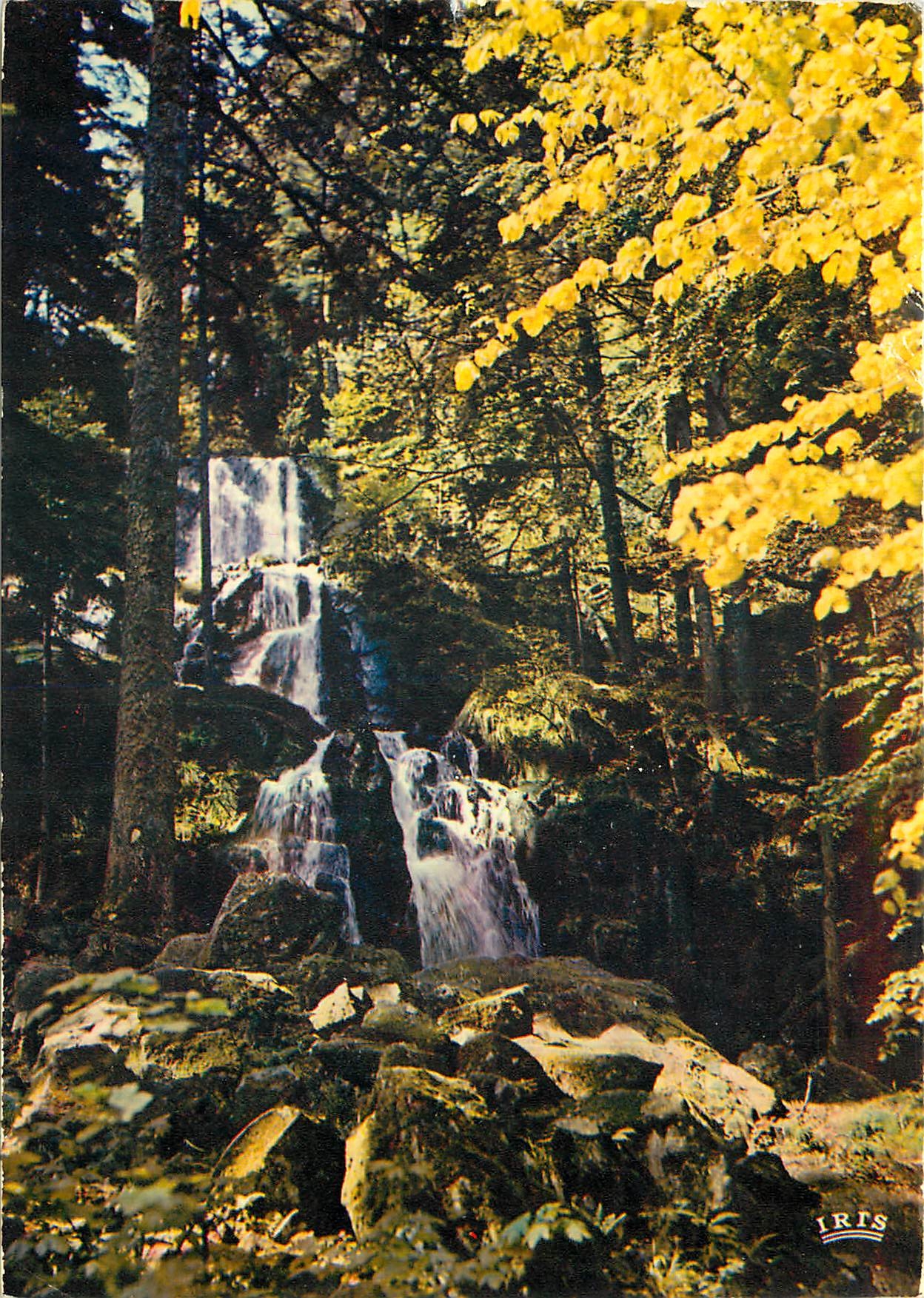 CPM Les Vosges Pittoresques Cascade de Tendon (Hauteur de la Chute 35 m)