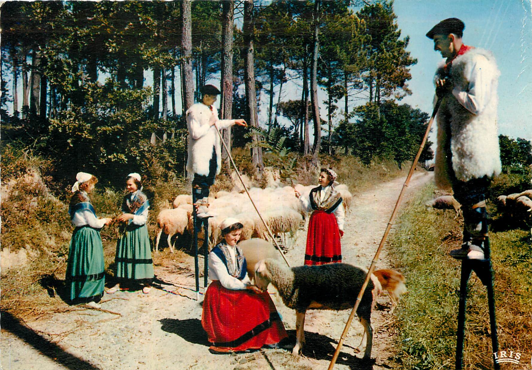 CPM Au pays Landais Bergers et Bergeres Folklore  Moutons