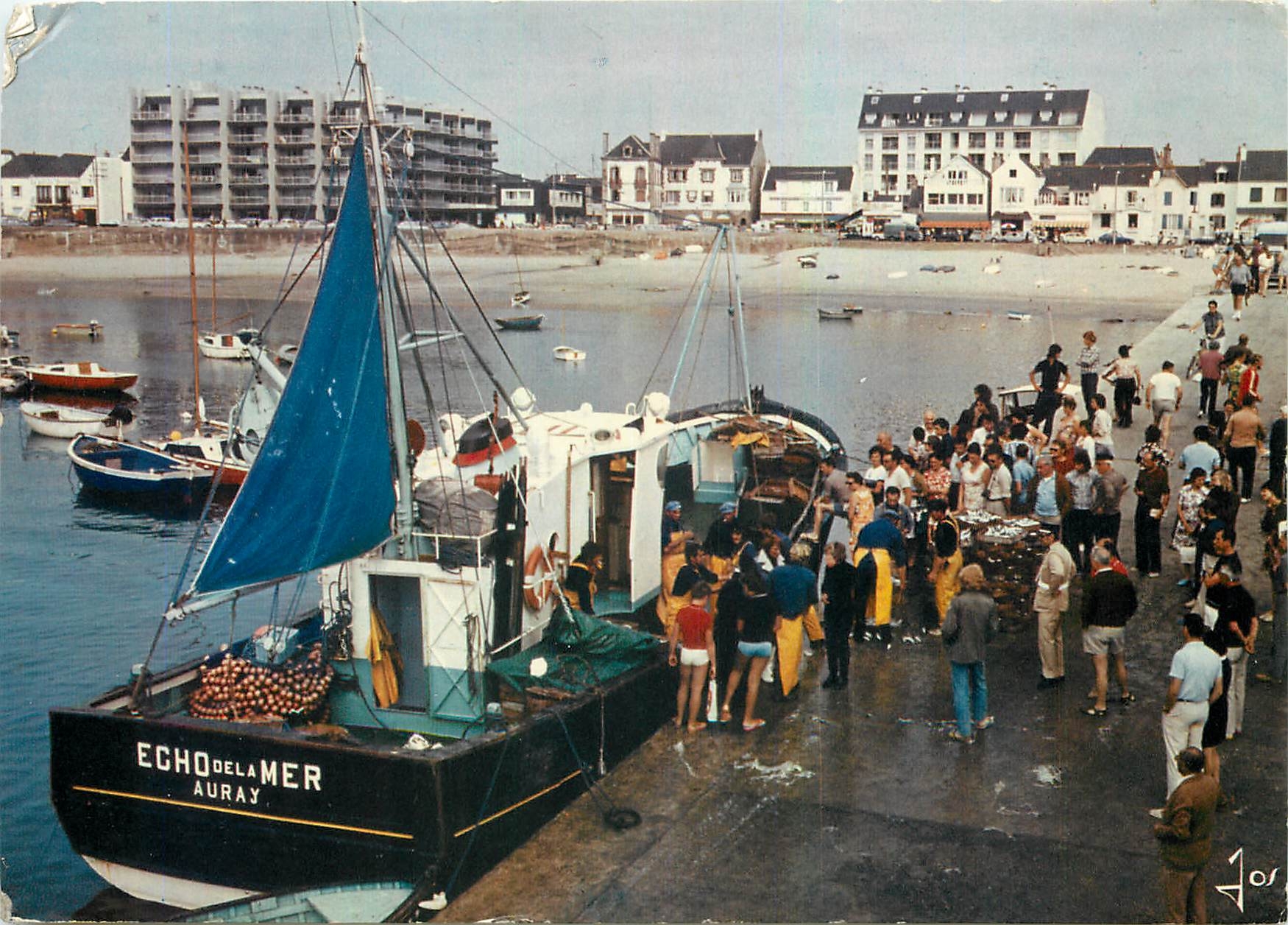 CPM La Bretagne en Couleurs Presqu'il de Quiberon Retour de peche a port Maria Bateaux de peche