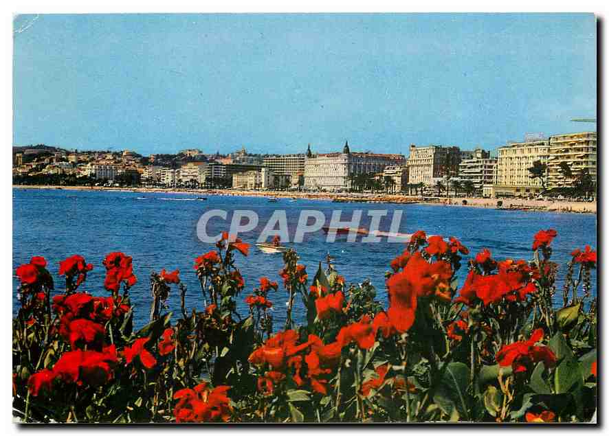 CPM Cannes Vue generale sur la Croisette