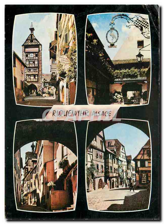 CPM Riquewihr (Haut Rhin) Le Dolder La Cour des Cigognes Rue des Juifs Porte du Dolder