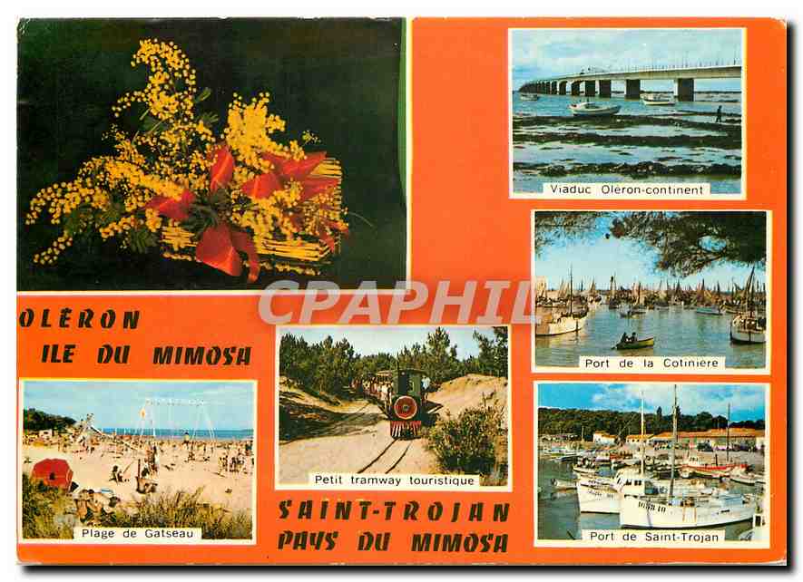 CPM Ile d'Orelon (Ch Mme) Ile du Mimosa Plage de Gatseau Petit Tramway Port de Saint Trojan Viaduc O
