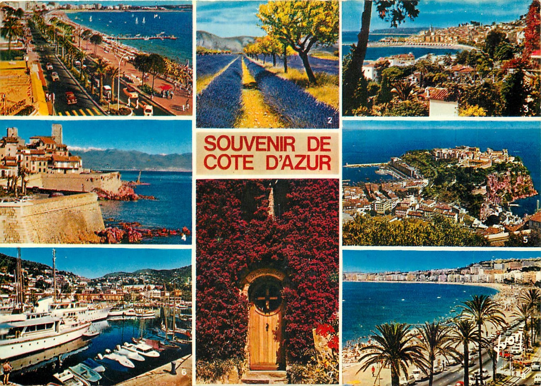 CPM Couleurs et Lumiere de France La Cote d'Azur Miracle de la Nature Souvenir de la Cote d'Azur