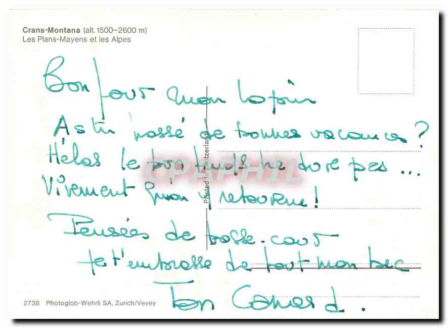 CPM Crans Montana (alt 1500 2600 m) Les Pians Mayens et les Alpes — Verso