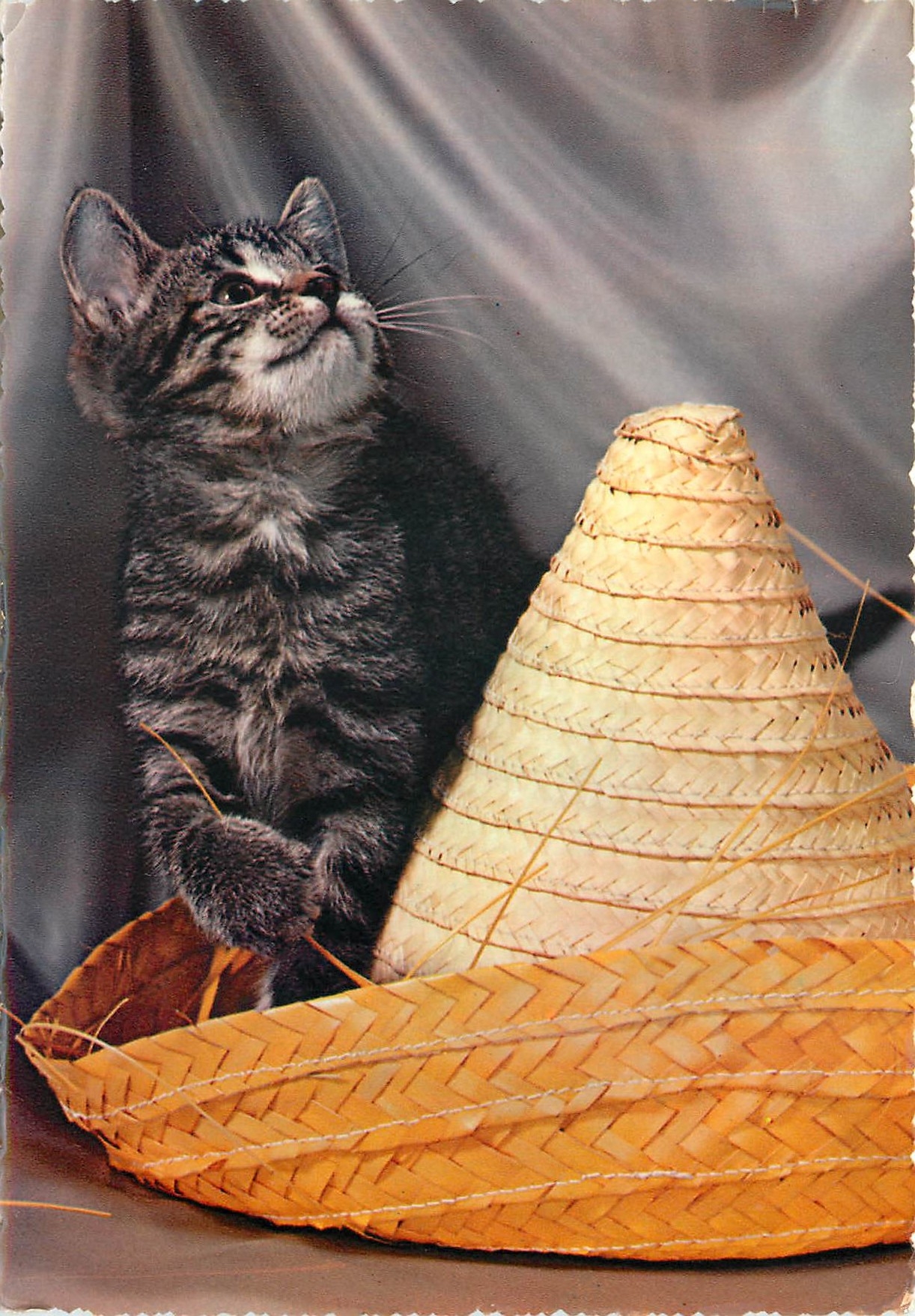CPM Chat Chaton