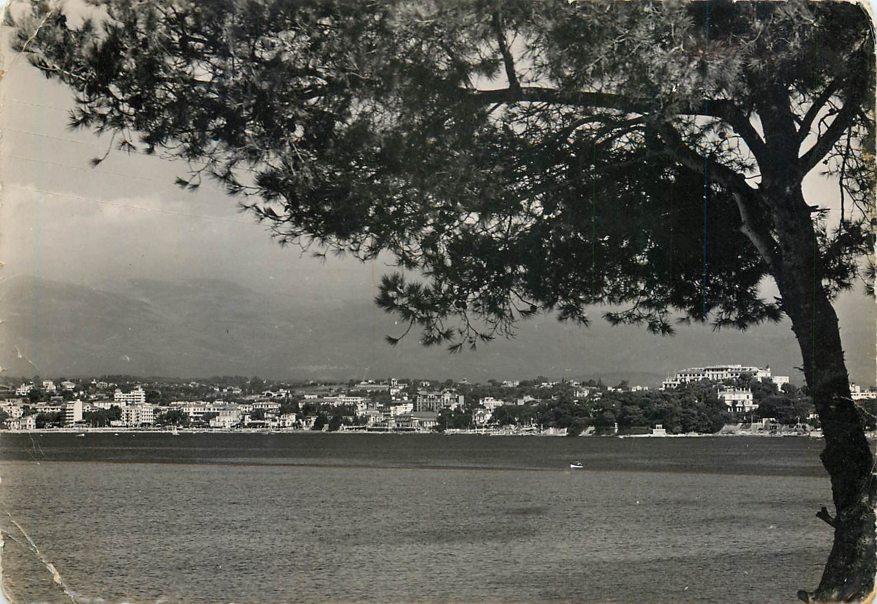 CPM Vue sur Juan les Pins prise du Cap d'Antibes