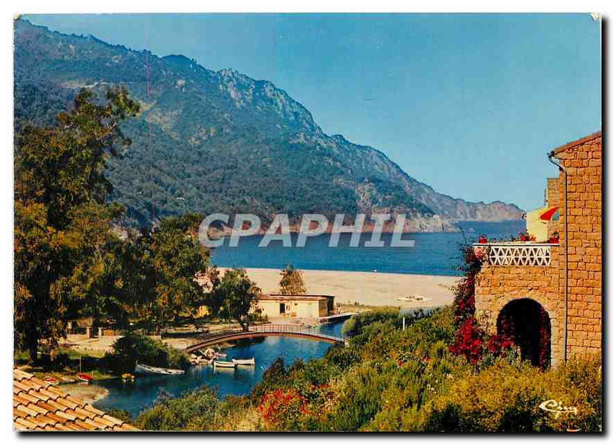 CPM (Corse) Ile de beaute Paradis d'ete Porto Vue sur la plage
