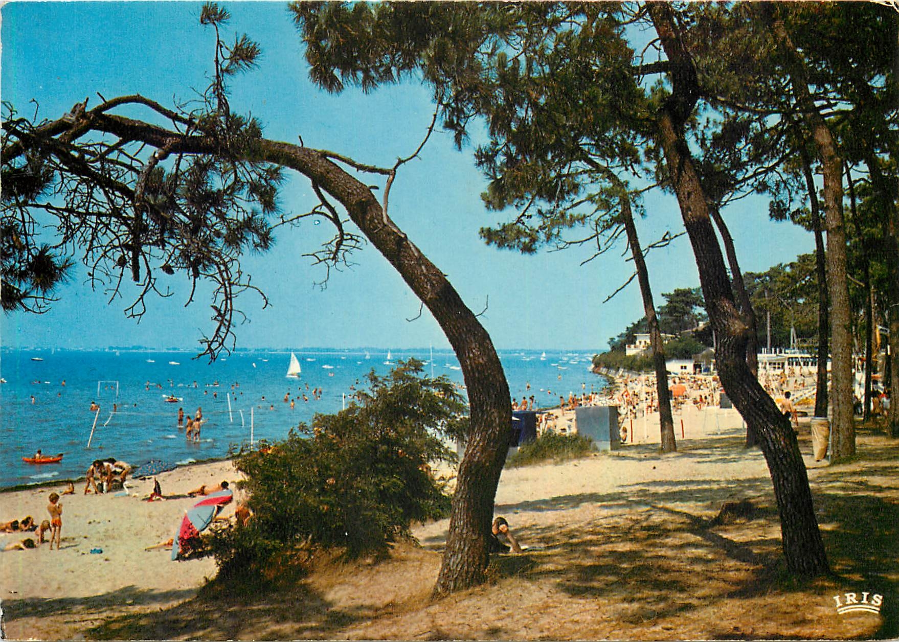 CPM Cote de Beaute Ronce les Bains (Charente Maritime) La plage de la Cepe