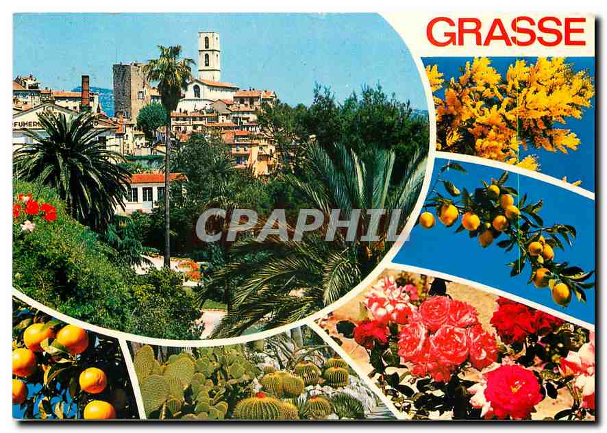 CPM Cote d'Azur Frenchriviera Grasse (Alpes Maritimes) Capitale des Fleurs et des parfums
