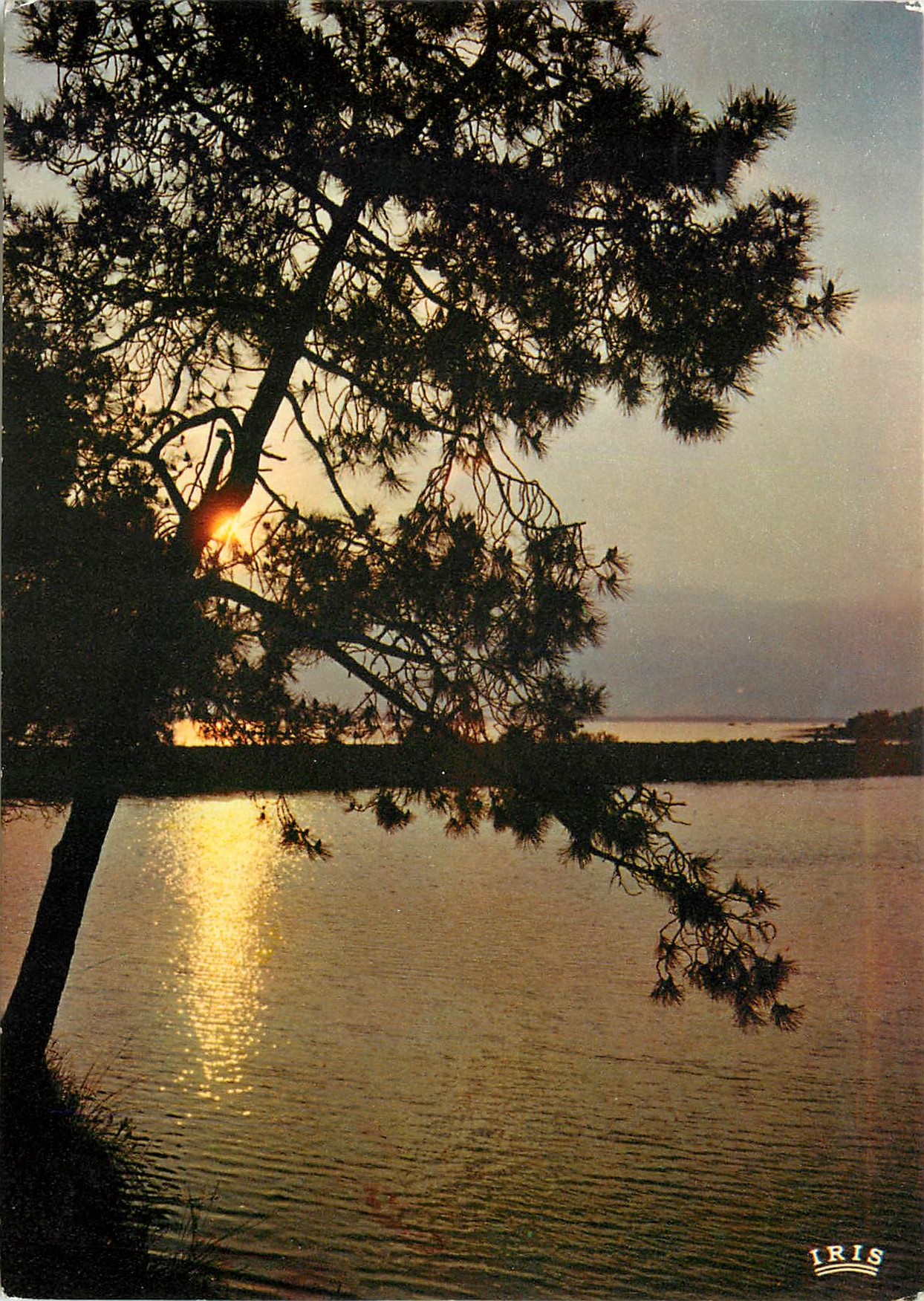 CPM Le soleil a son coucher versait sa lumiere d'or
