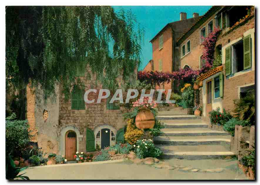 CPM Cote d'Azur Bormes Les Mimosas Lou Pouli Cantoum