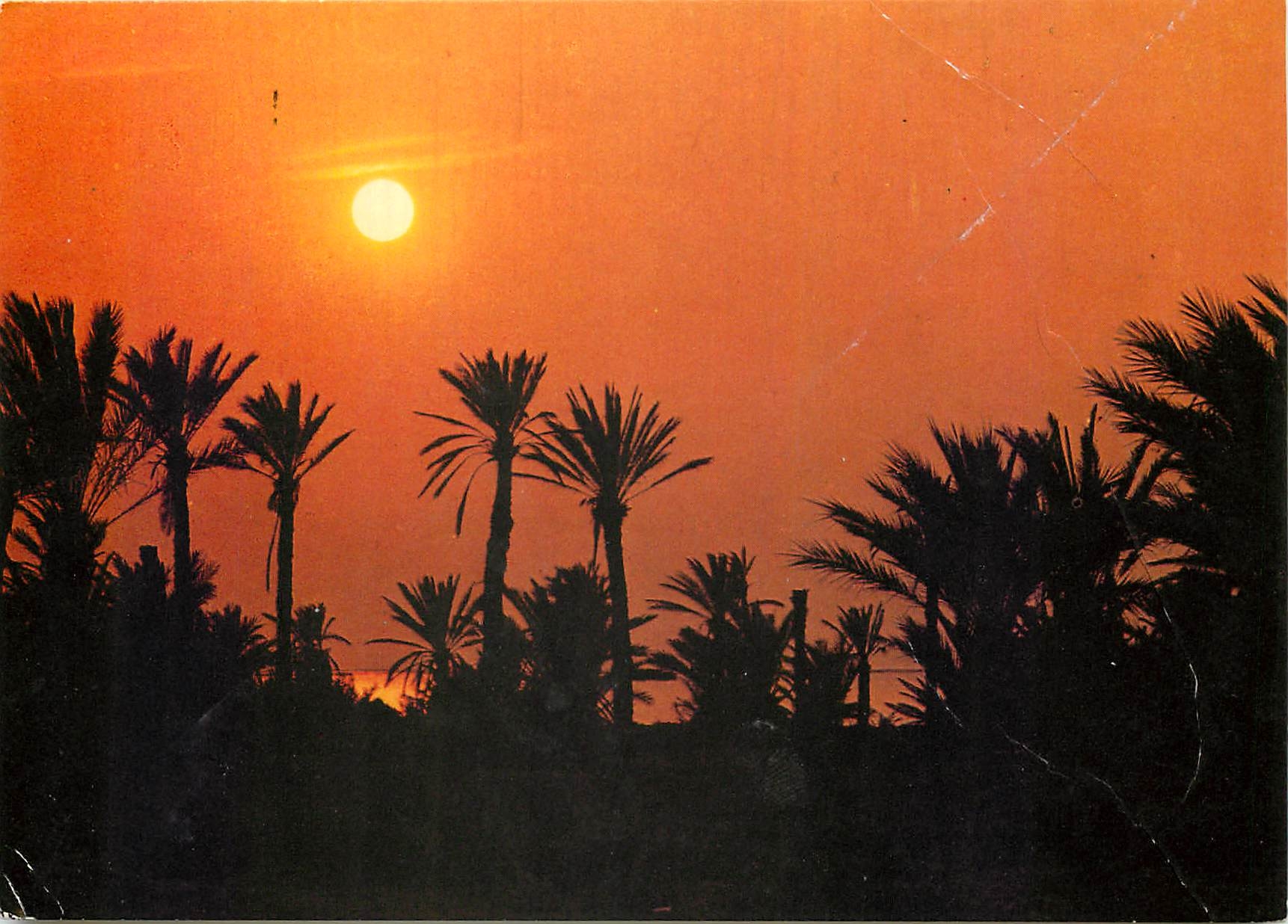CPM Iles Kerkennah (Tunisie) Coucher de Soleil